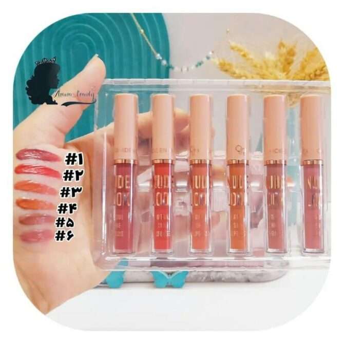6 Pcs High Pigmented Lip Gloss
